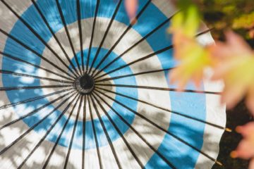 colorful chinese umbrella on grassy field near tree